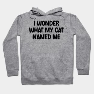 i wonder what my cat named me Hoodie